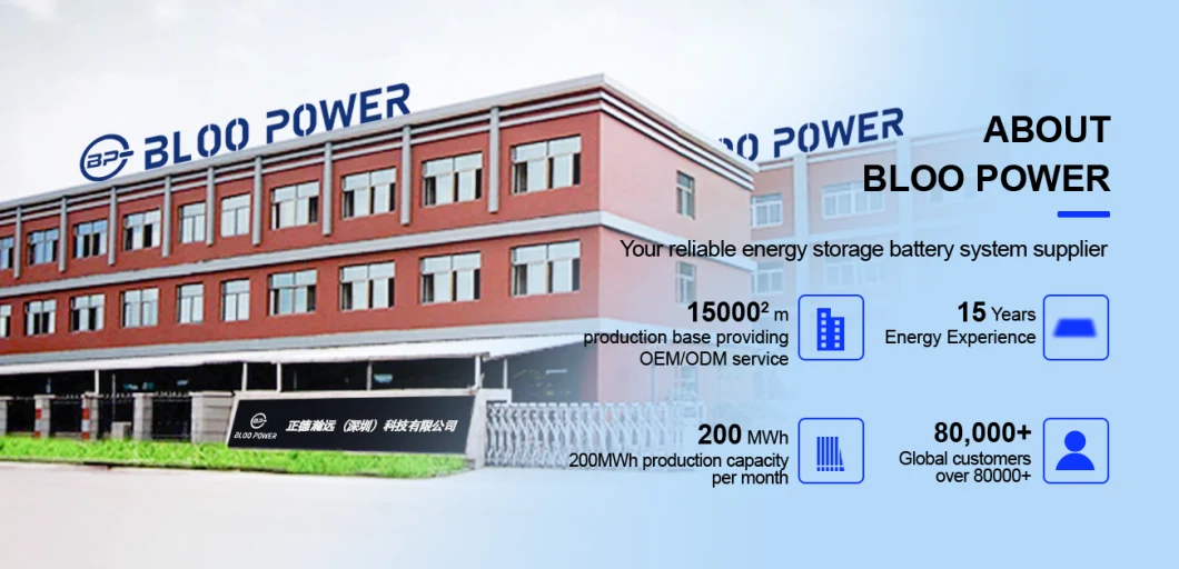Bloopower 1kw 2kw 3kw 2000 Watt 220V 200W 300W 500W 600W 1200W Li Lithium Iron Phosphate All in One AC DC Type C Generator